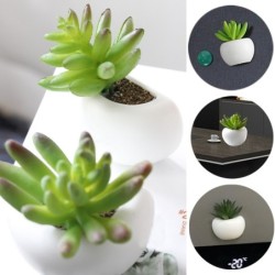 Ímãs de geladeira decorativos - decoração de mesa / desktop - cacto - orquídea