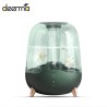 DEERMA - ultrasonic air humidifier - diffuser - aromatherapy - transparent - with water filtration - 5 LHumidifiers