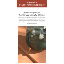 DEERMA - ultrasonic air humidifier - diffuser - aromatherapy - transparent - with water filtration - 5 LHumidifiers