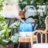 Ultrasonic air humidifier - 360 degree adjustable - 2.6 LHumidifiers
