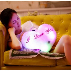 Heart shaped cushion z - I LOVE YOU - LED lightsCuddly toys