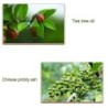 Onychomycosis removal oil - essence liquid serumTreatment