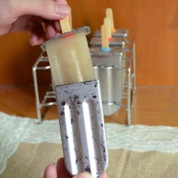 Forma de sorvete - com suporte - aço inoxidável