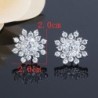 Brincos de floco de neve de cristal exclusivos