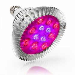 Lâmpada LED para cultivo de plantas - luz hidropônica - E27 - 6W - 15W - 21W - 27W - 36W - 45W - 54W