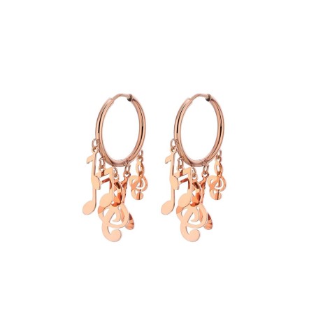 Small hoop earrings - with hanging music notesEarrings