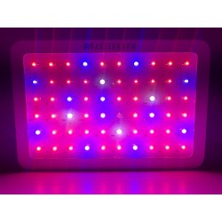 Luz de cultivo de plantas LED - LED de chip duplo - painel - 600W