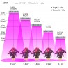 Luz de cultivo de plantas LED - LED de chip duplo - painel - 600W