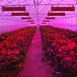Luz LED para cultivo de plantas - espectro completo - 300W - 1600W