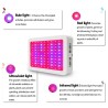 Luz LED para cultivo de plantas - espectro completo - 300W - 1600W