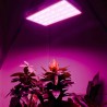 Luz LED para cultivo de plantas - espectro completo - 300W - 1600W