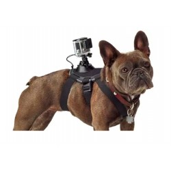 Arnês para cães - alça no peito - suporte para câmeras GoPro Hero
