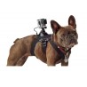 Arnês para cães - alça no peito - suporte para câmeras GoPro Hero