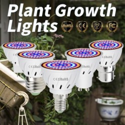 Lâmpada LED - luz de cultivo de plantas - espectro completo - hidropônico - E27 - E14 - GU10 - MR16 - B22 - 220V