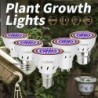 Lâmpada LED - luz de cultivo de plantas - espectro completo - hidropônico - E27 - E14 - GU10 - MR16 - B22 - 220V
