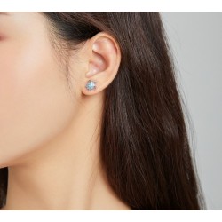 Colar/brinco tartaruga azul - conjunto - prata de lei 925