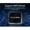 Bluedio HS - neck-mounted speaker - Bluetooth 5.0 - bass - FM - SD card slot - microphoneBluetooth speakers