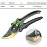 Garden scissors - sharp secateur - plants / branches trimmingGarden