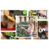 Garden scissors - sharp secateur - plants / branches trimmingGarden