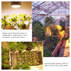 Lâmpada LED - luz de crescimento de plantas - espectro completo - hidropônico - E27 - 100W - 150W - 300W