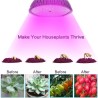 Lâmpada LED - luz de crescimento de plantas - espectro completo - hidropônico - E27 - 10W - 30W - 50W - 80W