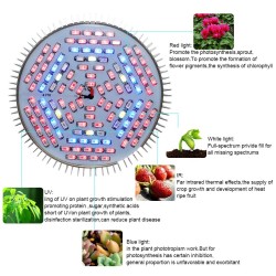 Lâmpada LED - luz de crescimento de plantas - espectro completo - hidropônico - E27 - 10W - 30W - 50W - 80W