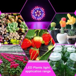 Lâmpada LED - luz de crescimento de plantas - espectro completo - hidropônico - E27 - 10W - 30W - 50W - 80W