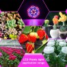 Lâmpada LED - luz de crescimento de plantas - espectro completo - hidropônico - E27 - 10W - 30W - 50W - 80W