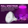 Lâmpada LED - luz de crescimento de plantas - espectro completo - hidropônico - E27 - 10W - 30W - 50W - 80W