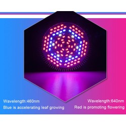 Lâmpada LED - luz de crescimento de plantas - espectro completo - hidropônico - E27 - 10W - 30W - 50W - 80W