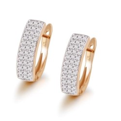 Gold zircon earringsEarrings