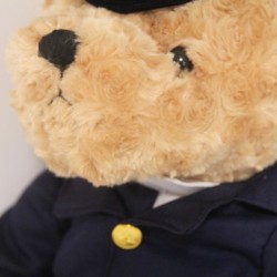 Piloto / capitão urso de pelúcia - comissário de bordo - brinquedo de pelúcia