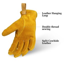 Safety / work gloves - stretchable - wood cutting / gardening - leatherSafety & protection