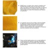 Safety / work gloves - stretchable - wood cutting / gardening - leatherSafety & protection