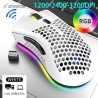 BM600 - wireless RGB gaming mouse - honeycomb design - rechargeable - USB - 2.4GMouses