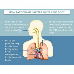 Máscara de proteção facial / bucal - antipoeira - antipoluição - com válvula de ar - reutilizável
