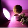 Luz de cultivo de plantas - lâmpada LED - espectro completo - E27 - 220V - 36W