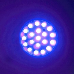 Lâmpada de cultivo de plantas - 20 LED - luz UV - E27 - 1W