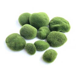 Aquarium mini moss ball - decorative nano plantDecorations