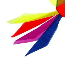 Rainbow fish - kiteKites