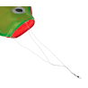Rainbow fish - kiteKites
