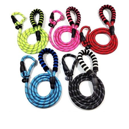 Nylon dog leash - adjustable collar - reflective - padded handleCollars & Leads