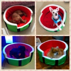 Cama macia para cachorro/gato - formato de melancia