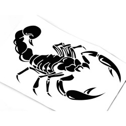 Escorpião 3D - adesivo de carro