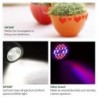 Lâmpada de cultivo de plantas LED - lâmpada - espectro completo - COB - E27