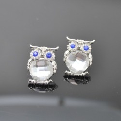 Silver necklace with crystal owlNecklaces