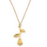 Colar elegante com pingente de rosa