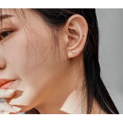 Heart shaped earrings - with rainbow enamelEarrings