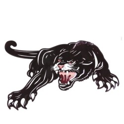 Tigre preto - adesivo de carro de vinil