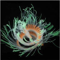 Aquarium decoration - silicone luminous sea anemoneDecorations